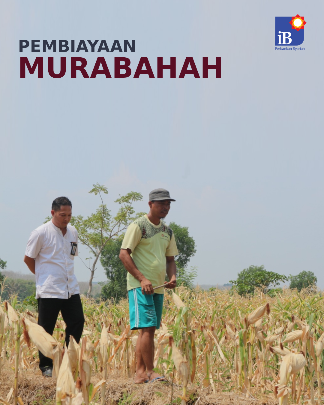 Pembiayaan Murabahah