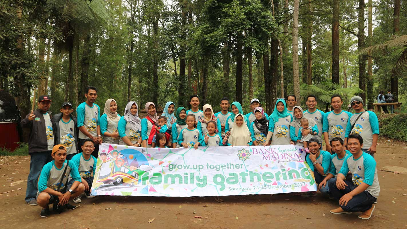 pengembangan sdi 2